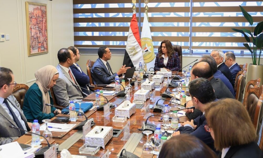 التنمية المحلية